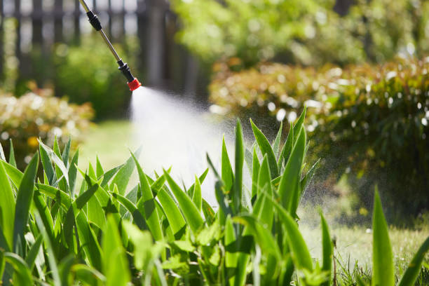 Void Injection for Cockroach Colonies in Governors Village