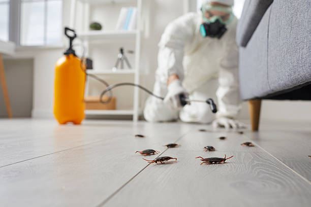 Commercial Kitchen Cockroach Control in Governors Village
