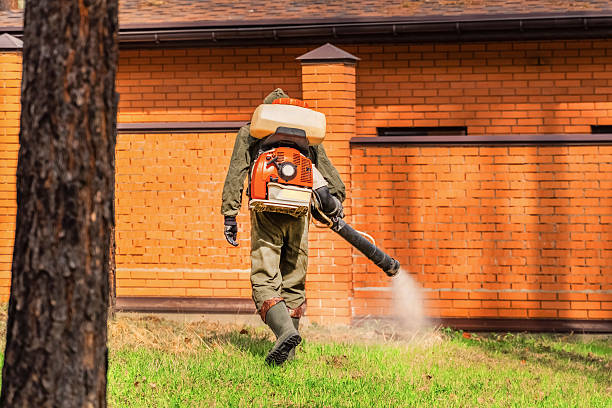 Cockroach Follow-Up and Monitoring in Governors Village